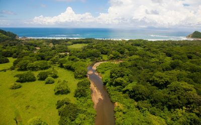 Key takeaways from the Regional Dialogue on Climate Resilient Food Systems in Africa