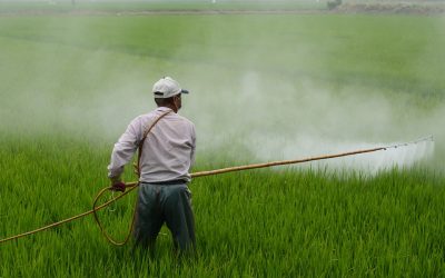 ¿Puede la agroecología conducirnos a un futuro sin pesticidas?