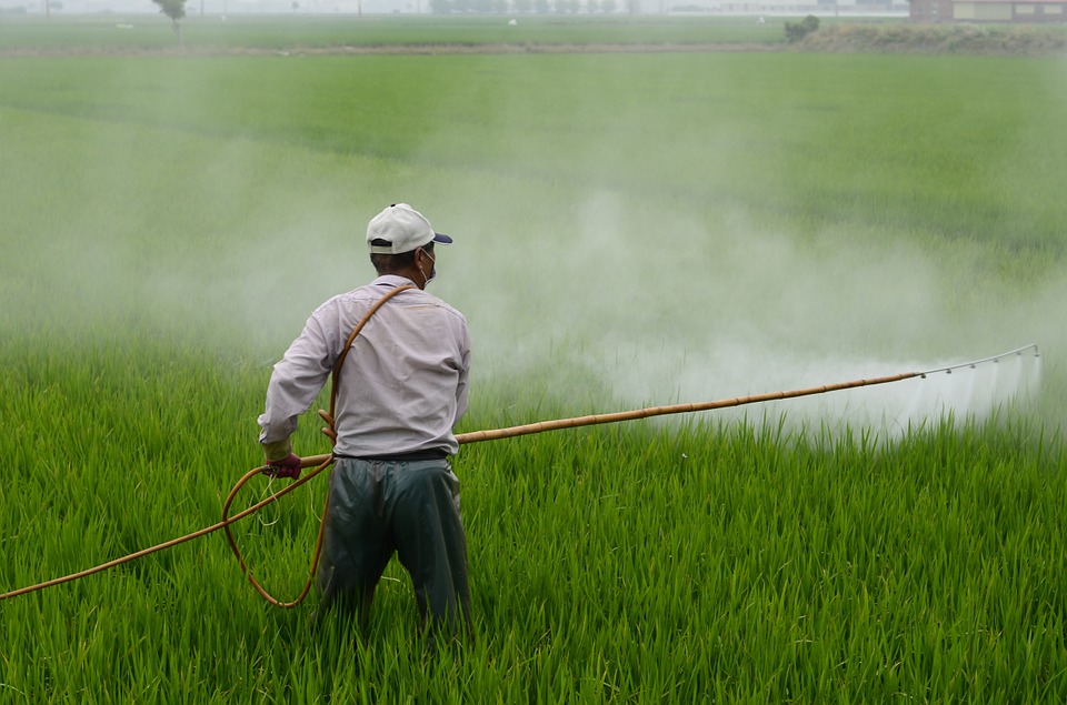 Can agroecology lead us to a pesticide-free future?