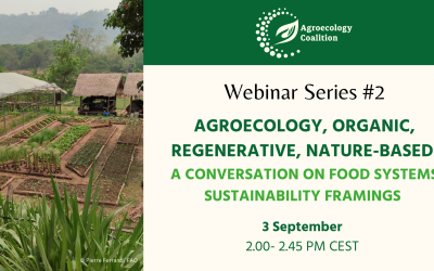 A conversation on food systems sustainability framings