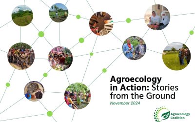 Agroecology in Action: Stories from the Ground