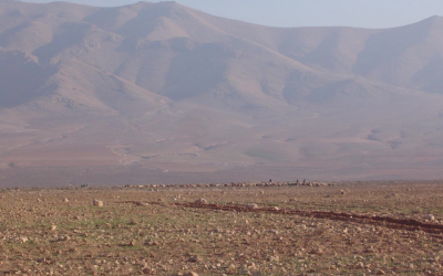 Agroecology at COP 16 on Desertification