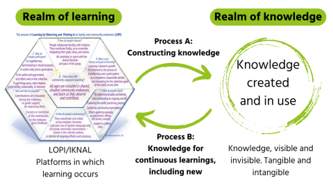 Learning Creating And Using Knowledge Co-creation of knowledge, a fundamental principle of agroecology ...
