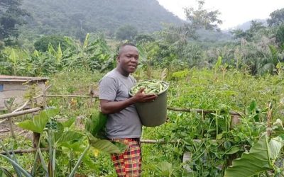 Agroecology is growing in Ghana: an interview on youth, innovation, and sustainable farming