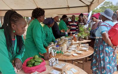 Agroecology and Consumers: Strengthening the Role of Citizens in Sustainable Food Systems