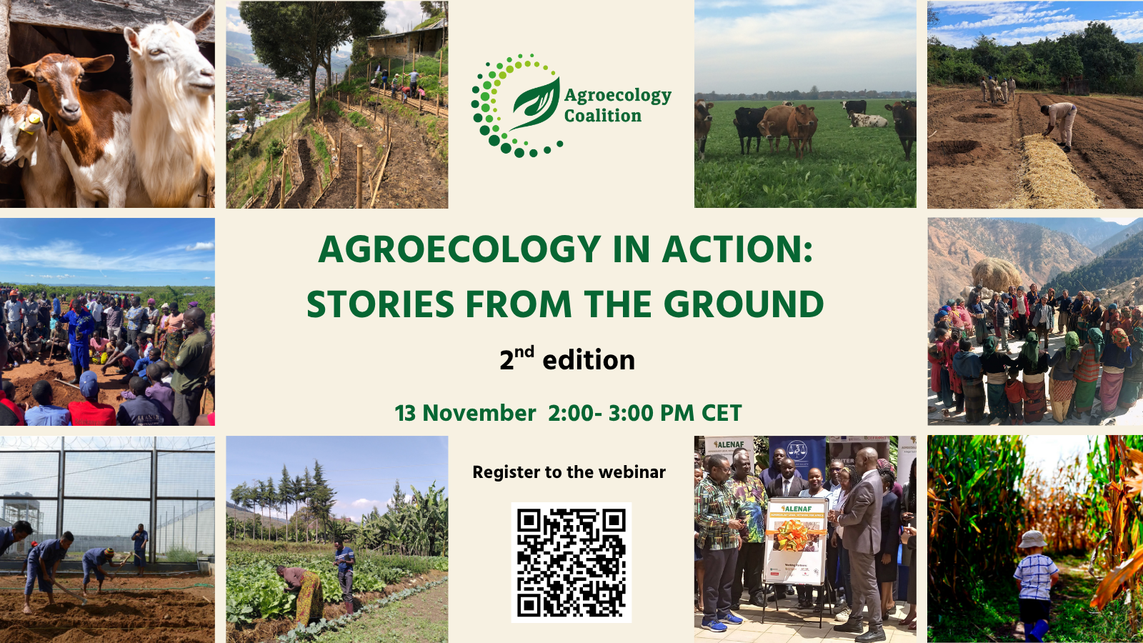 Flyer Publication - Agroecology in Action #2