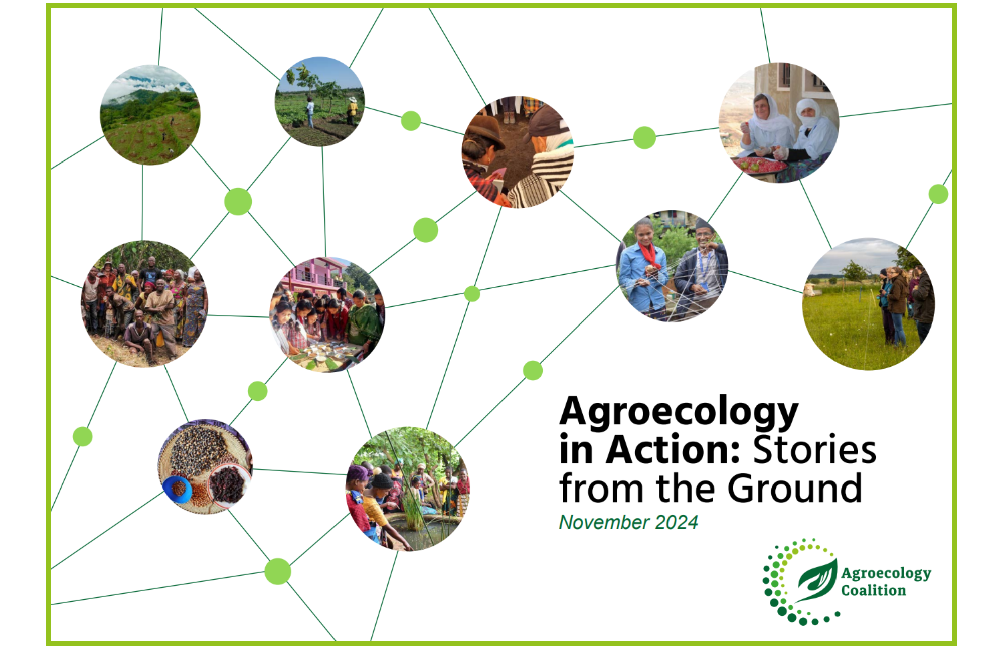 2024 publication (1)