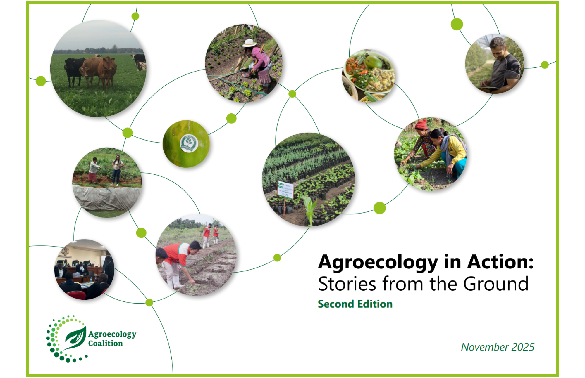 2025 publication (1)