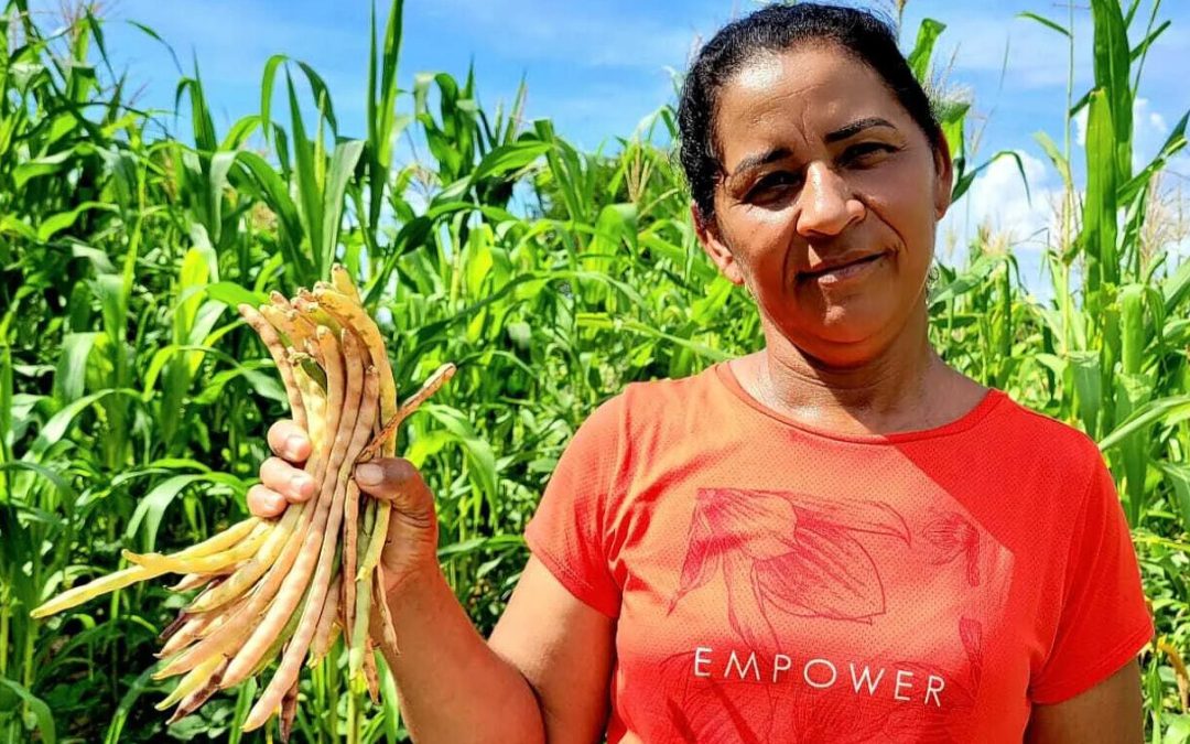 Agroecology at climate talks COP 30
