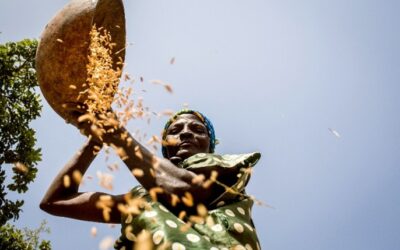 Advancing Agroecology in Burkina Faso: Progress, Challenges and Perspectives