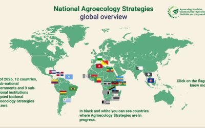 Press release: Governments adopt agroecology to build resilience to conflict and climate shocks