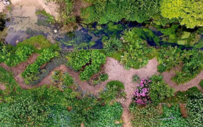 The Agroecology Coalition is Hiring