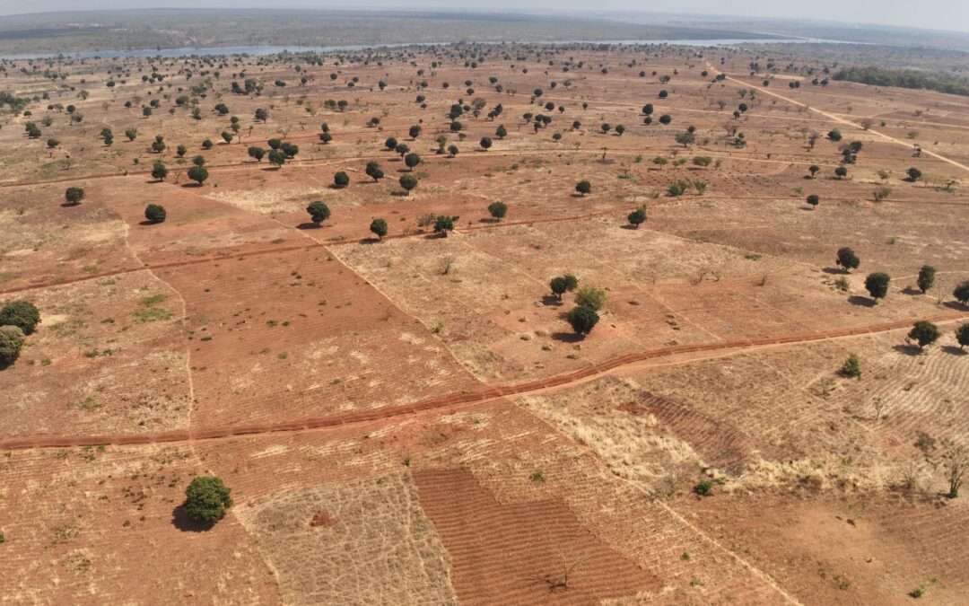 Malawi dry landscape