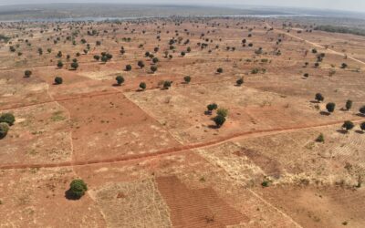 Agroecology at COP 17 on desertification