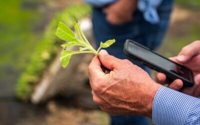 Artificial intelligence in agroecology: who shapes the future of food and farming?